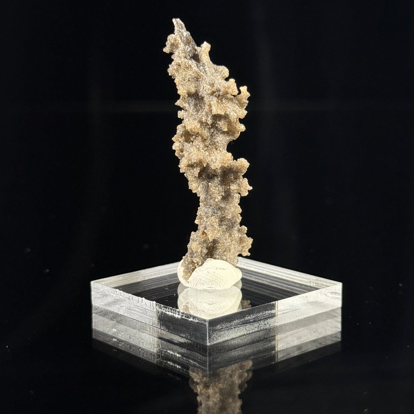 Fulgurite - Lightning strike glass