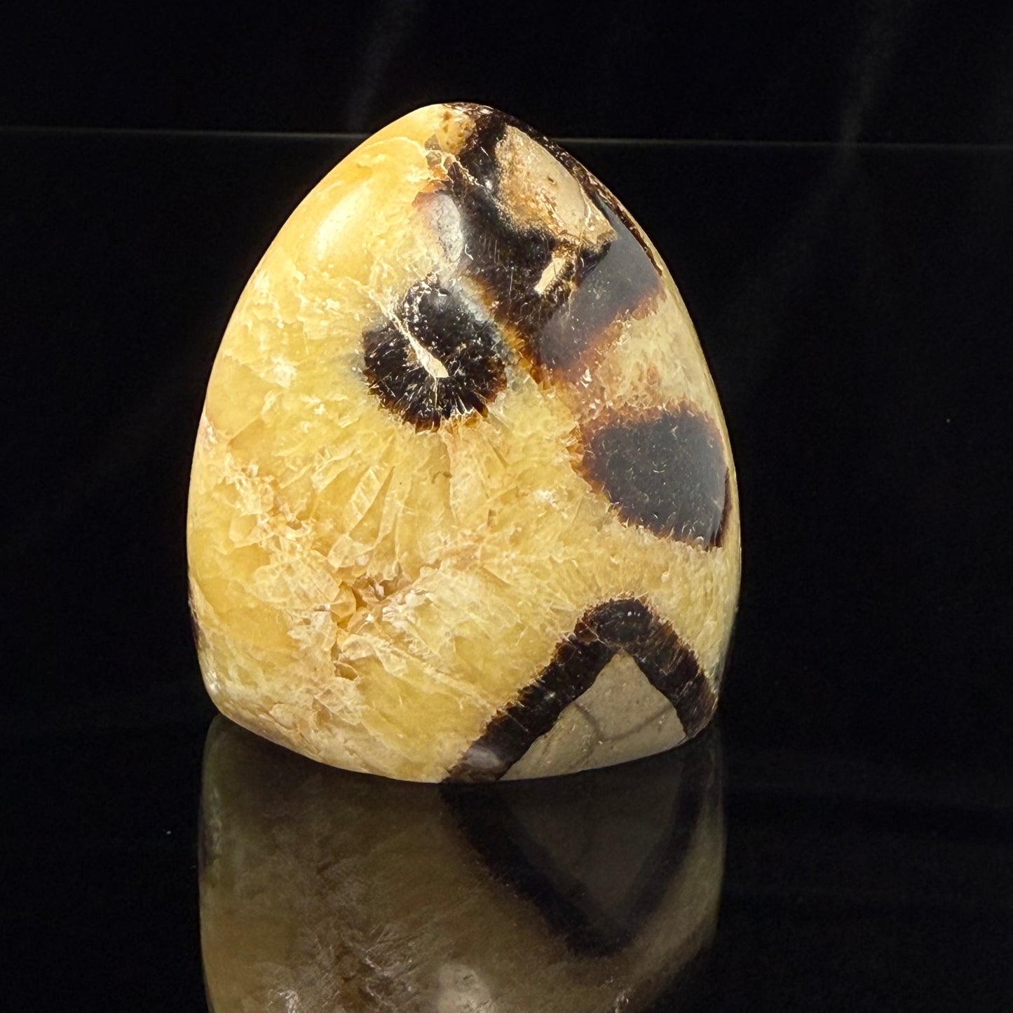 Septarian Nodule Freeform