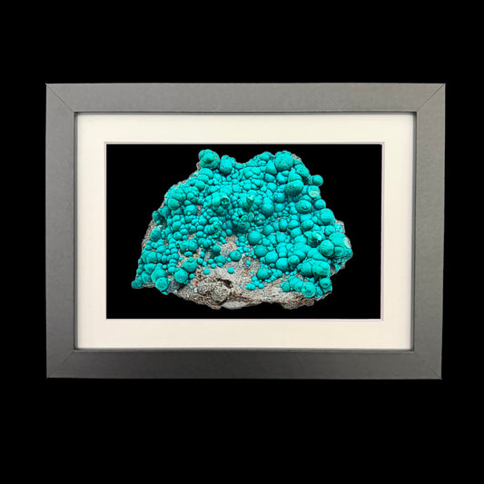 Chrysocolla Graphic Print
