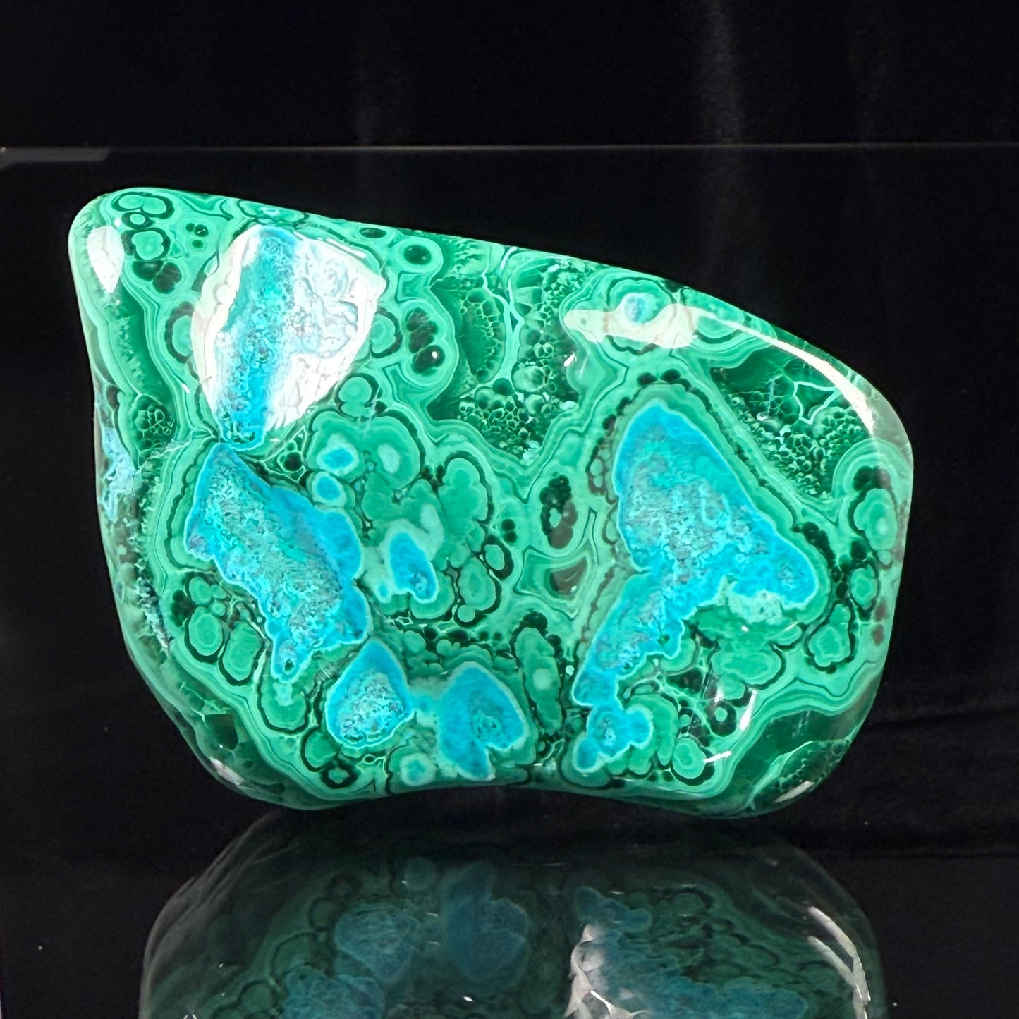 Polished Malachite with Chrysocolla