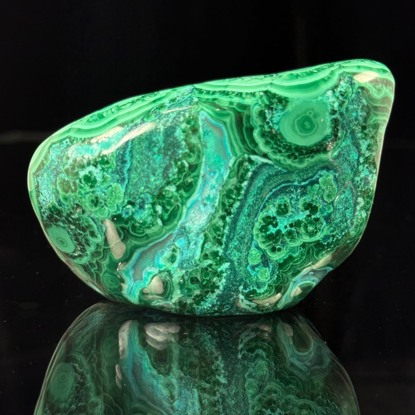 Polished Malachite with Chrysocolla