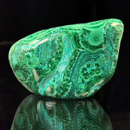 Polished Malachite with Chrysocolla
