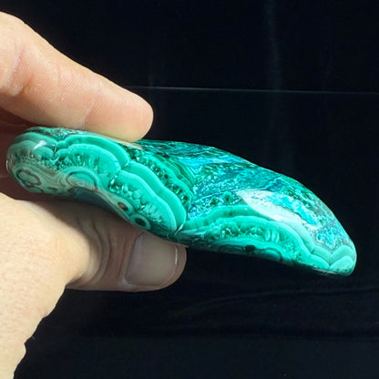 Polished Malachite with Chrysocolla