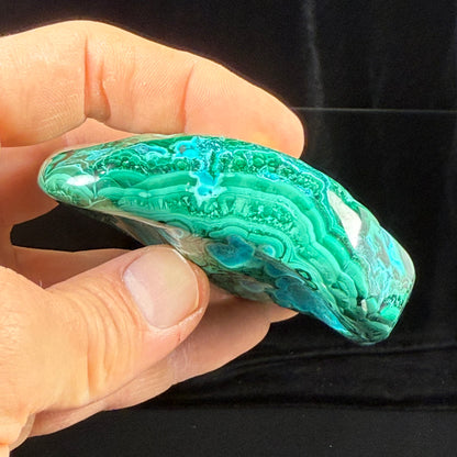 Polished Malachite with Chrysocolla