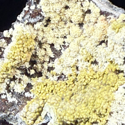 Mimetite
