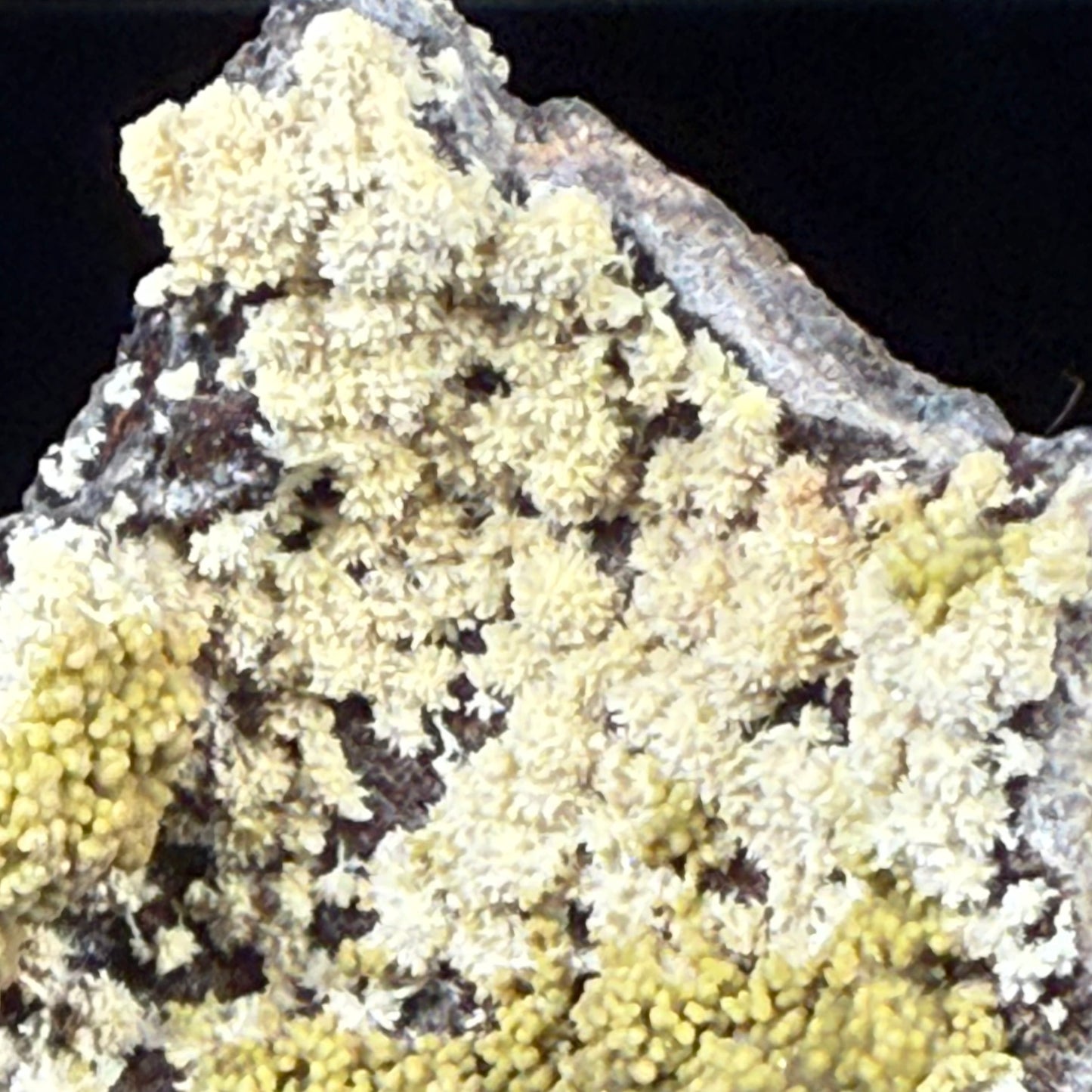 Mimetite