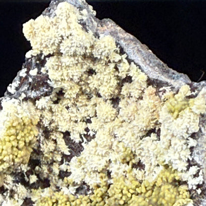 Mimetite