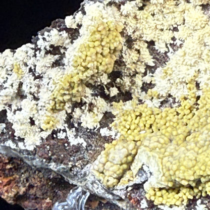 Mimetite