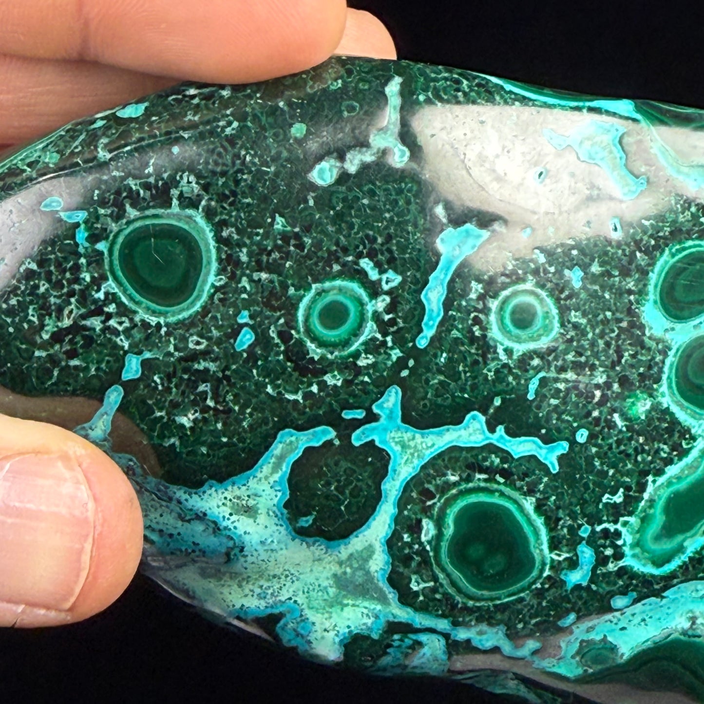 Malachite with Chrysocolla