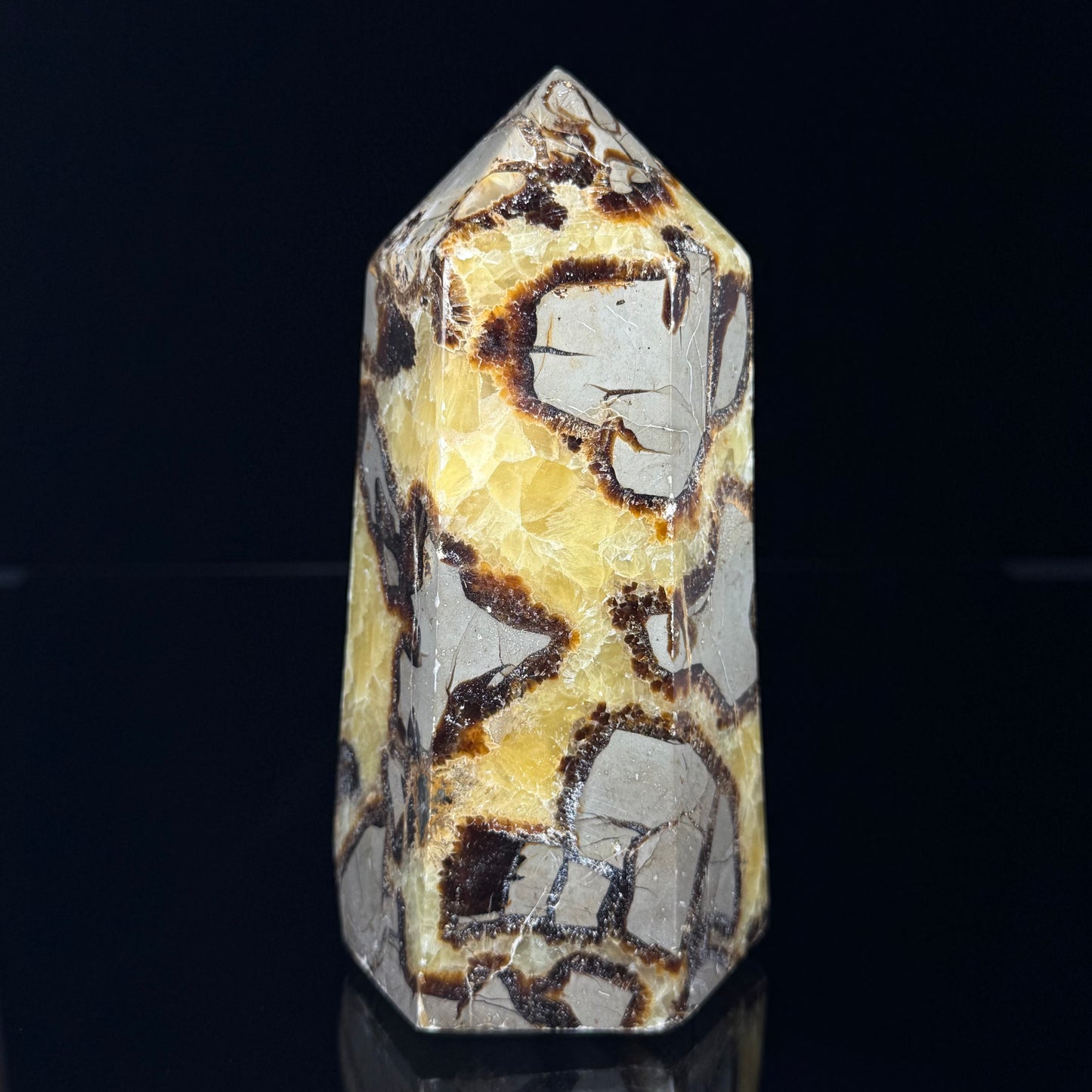 Septarian Nodule Point