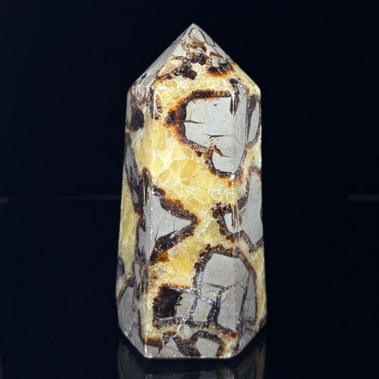 Septarian Nodule Point