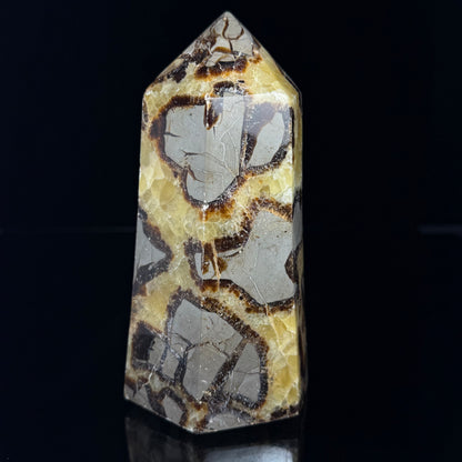 Septarian Nodule Point