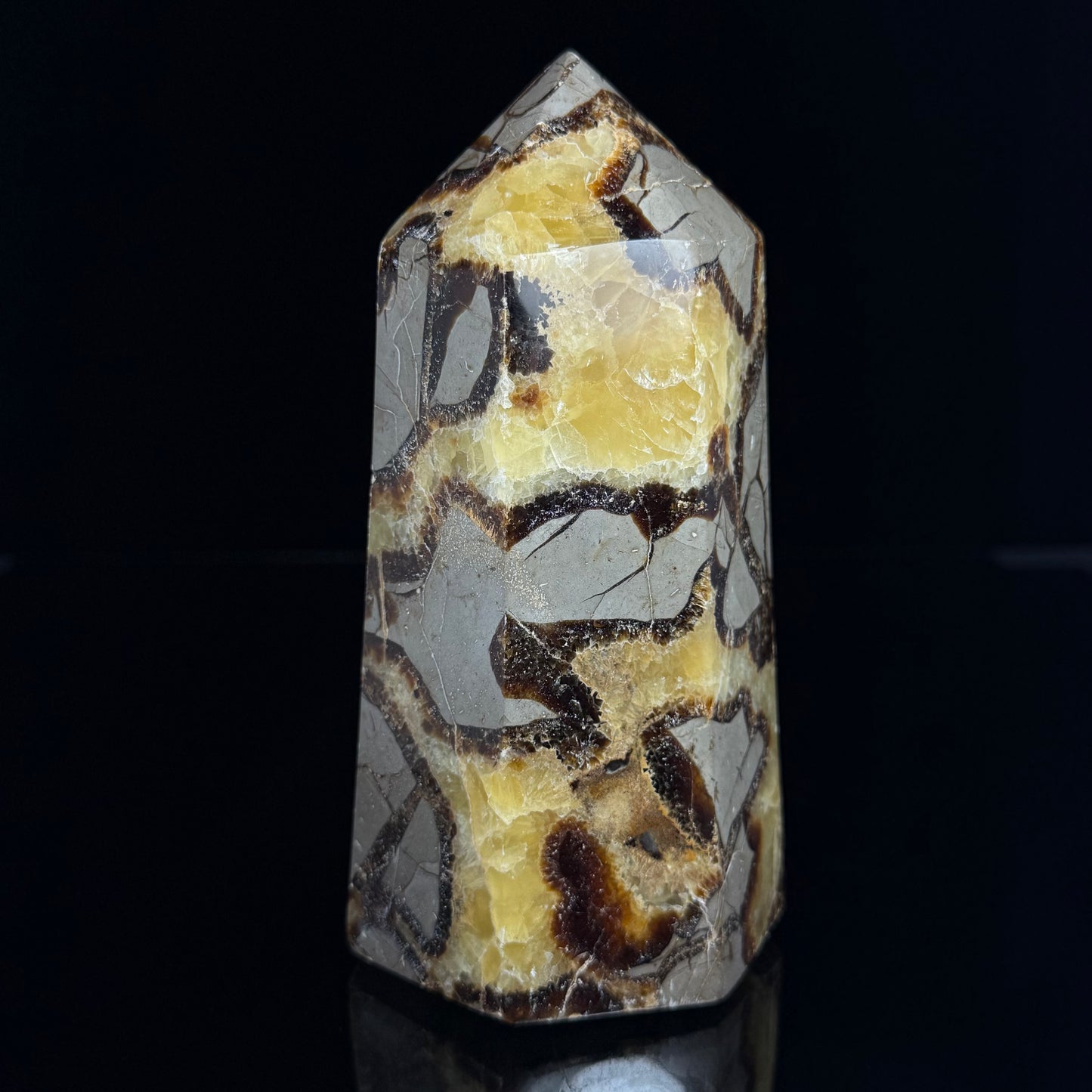Septarian Nodule Point