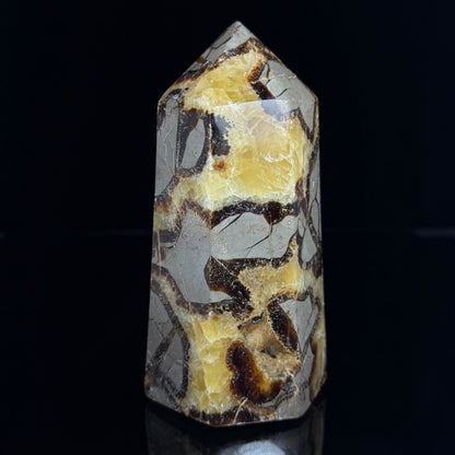 Septarian Nodule Point