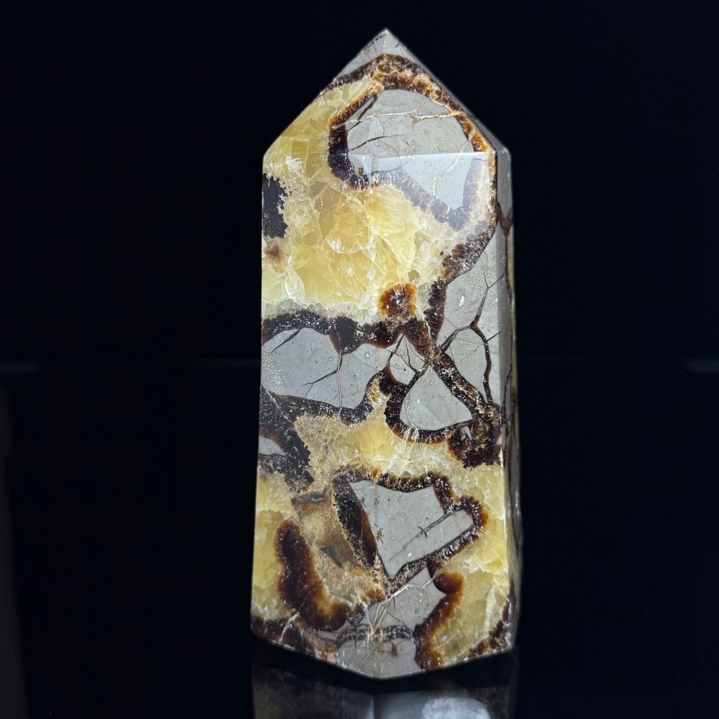 Septarian Nodule Point
