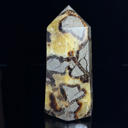 Septarian Nodule Point