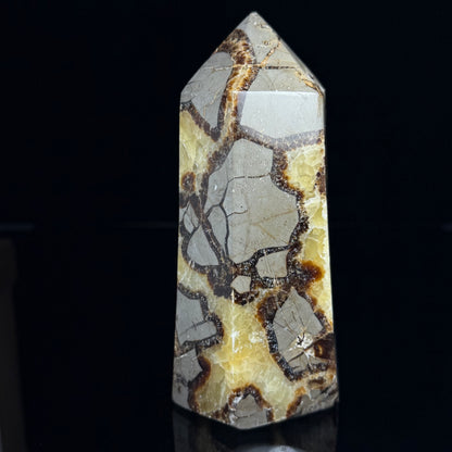 Septarian Nodule Point