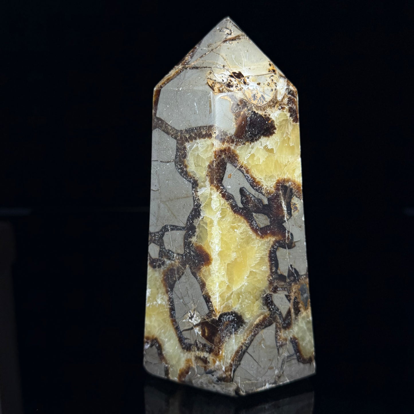 Septarian Nodule Point