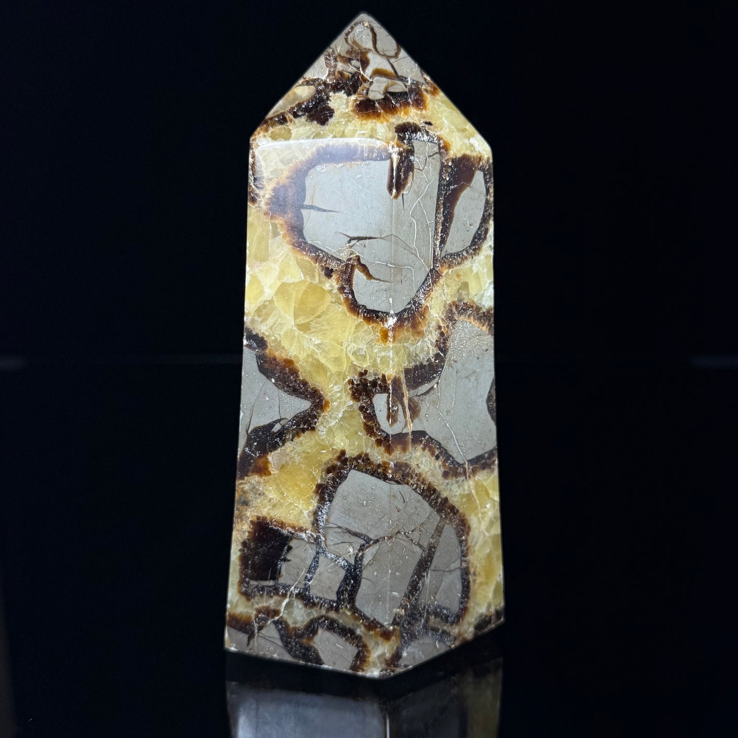 Septarian Nodule Point