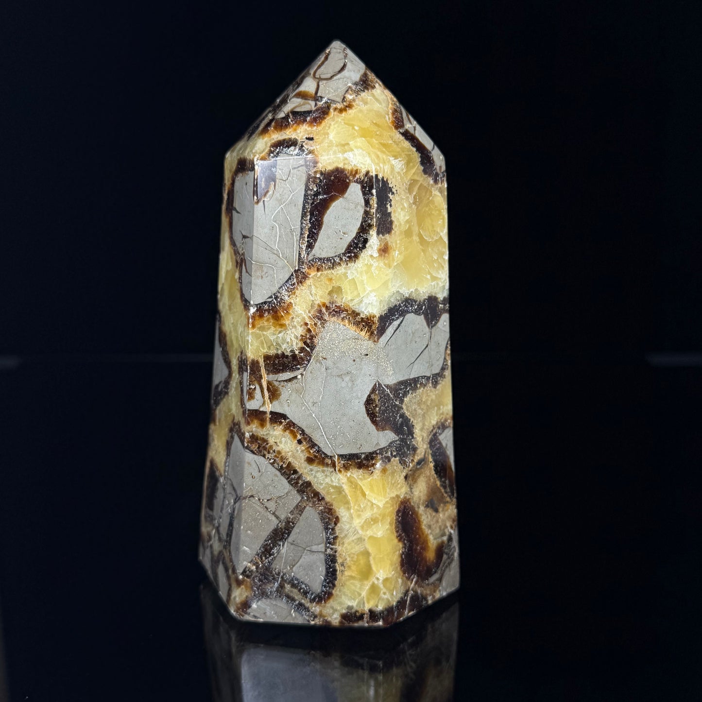 Septarian Nodule Point