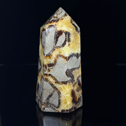 Septarian Nodule Point