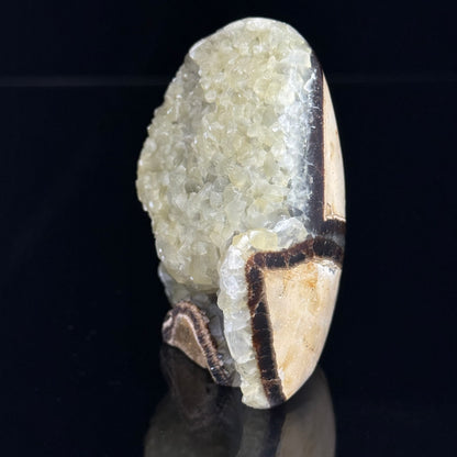 Septarian Nodule with Calcite Freeform