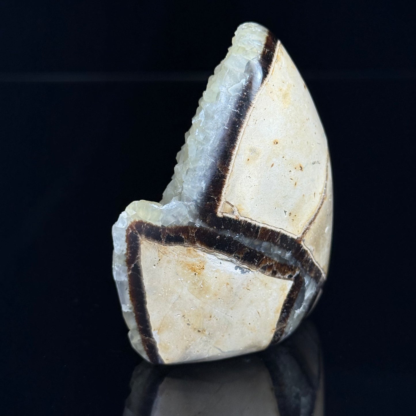 Septarian Nodule with Calcite Freeform