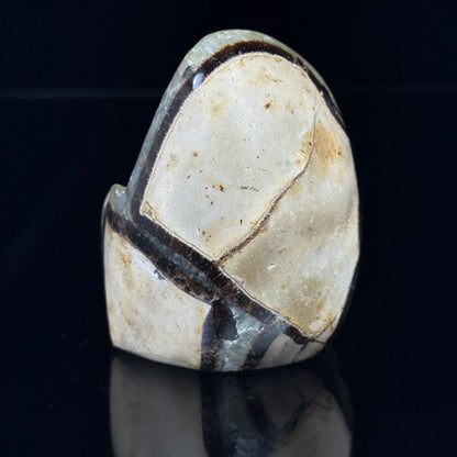 Septarian Nodule with Calcite Freeform