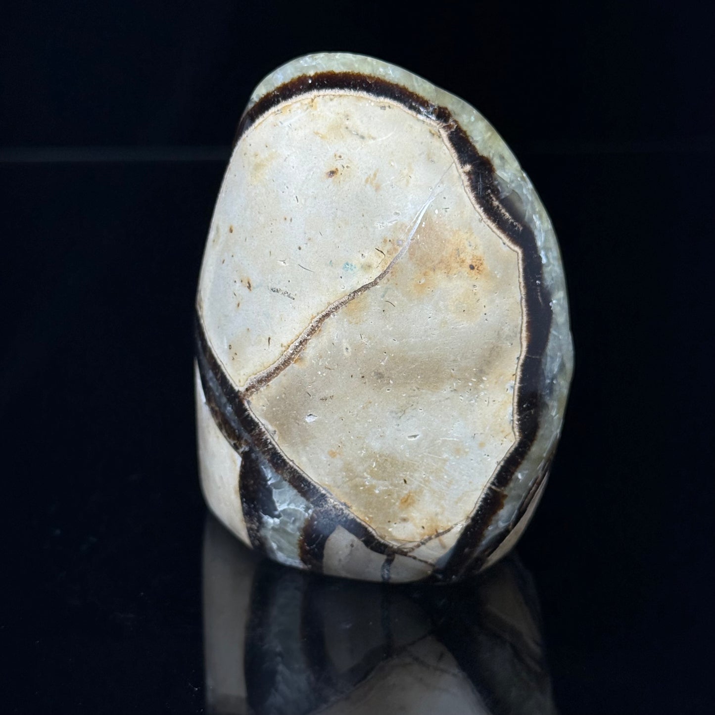 Septarian Nodule with Calcite Freeform