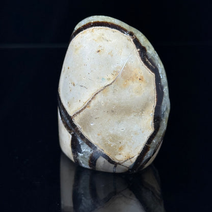 Septarian Nodule with Calcite Freeform