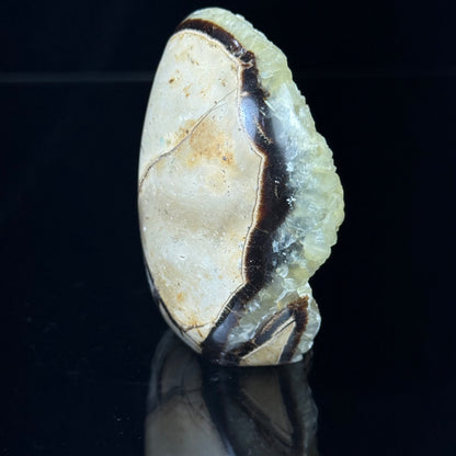 Septarian Nodule with Calcite Freeform