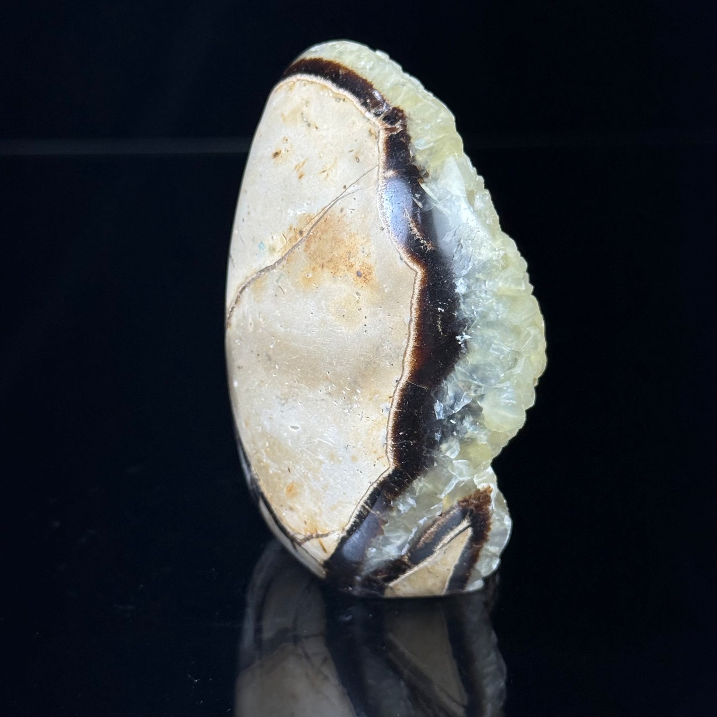 Septarian Nodule with Calcite Freeform
