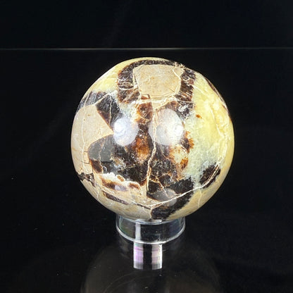 Septarian Nodule Sphere