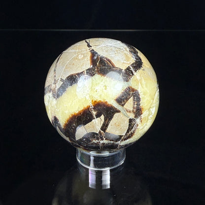Septarian Nodule Sphere