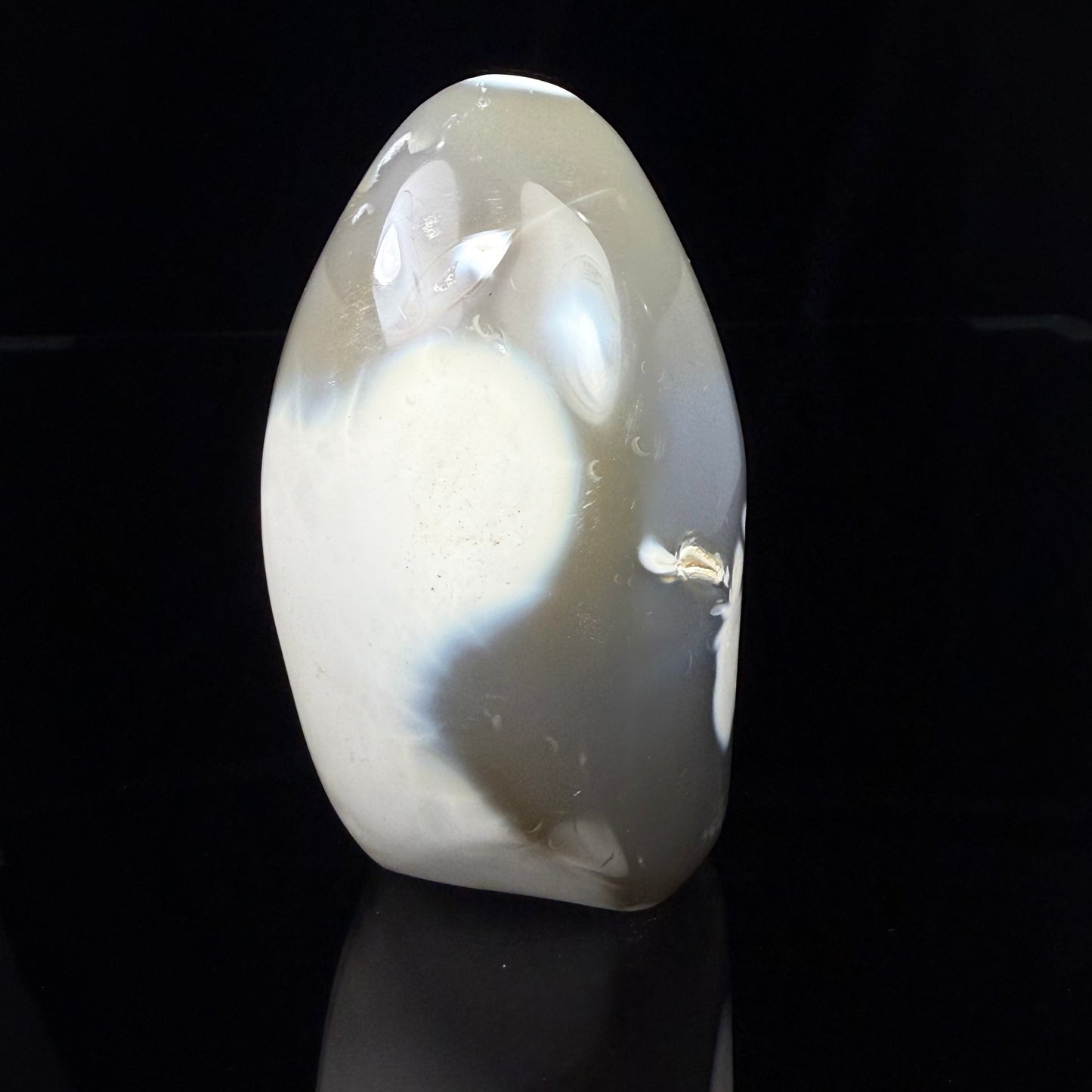 Orca Stone Freeform