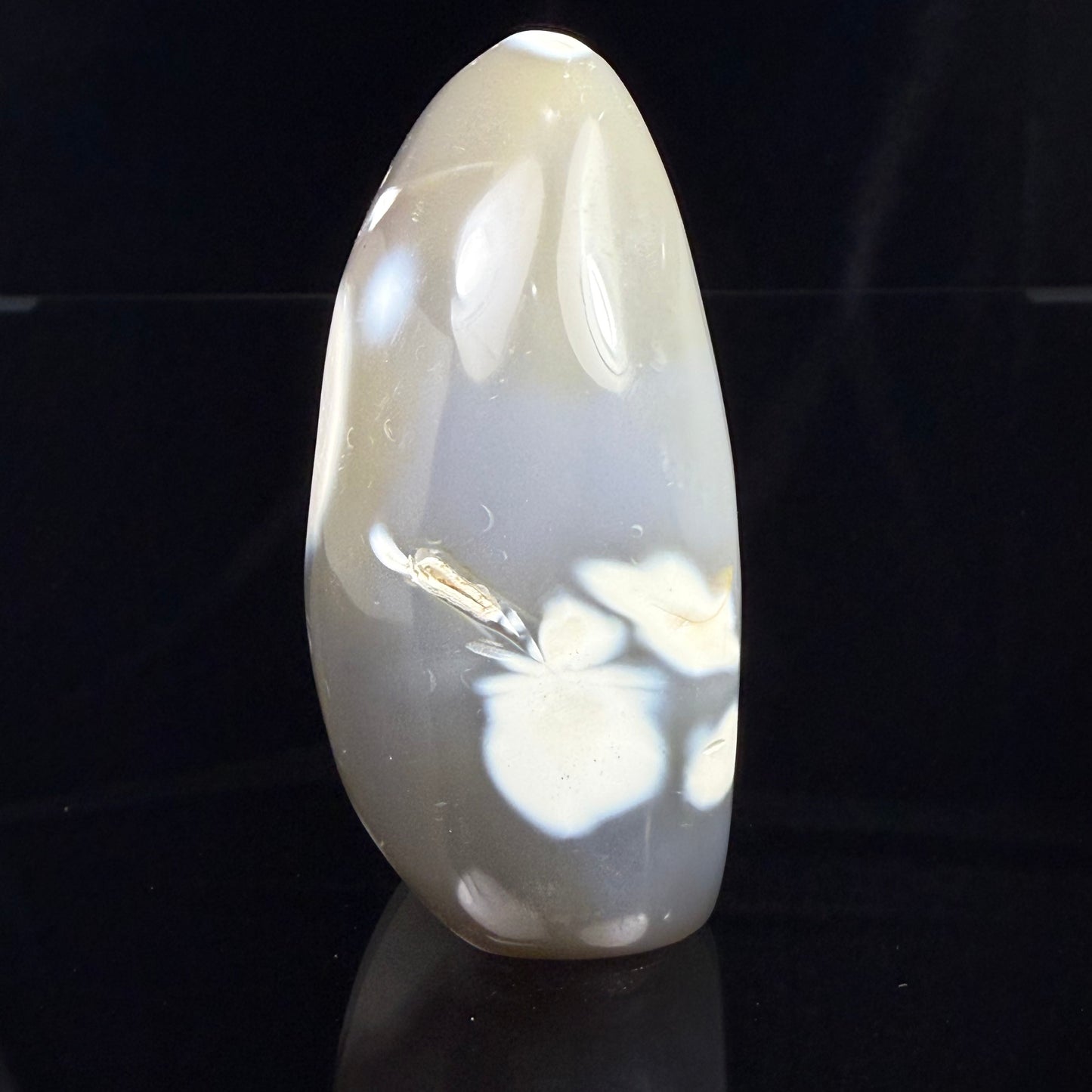 Orca Stone Freeform