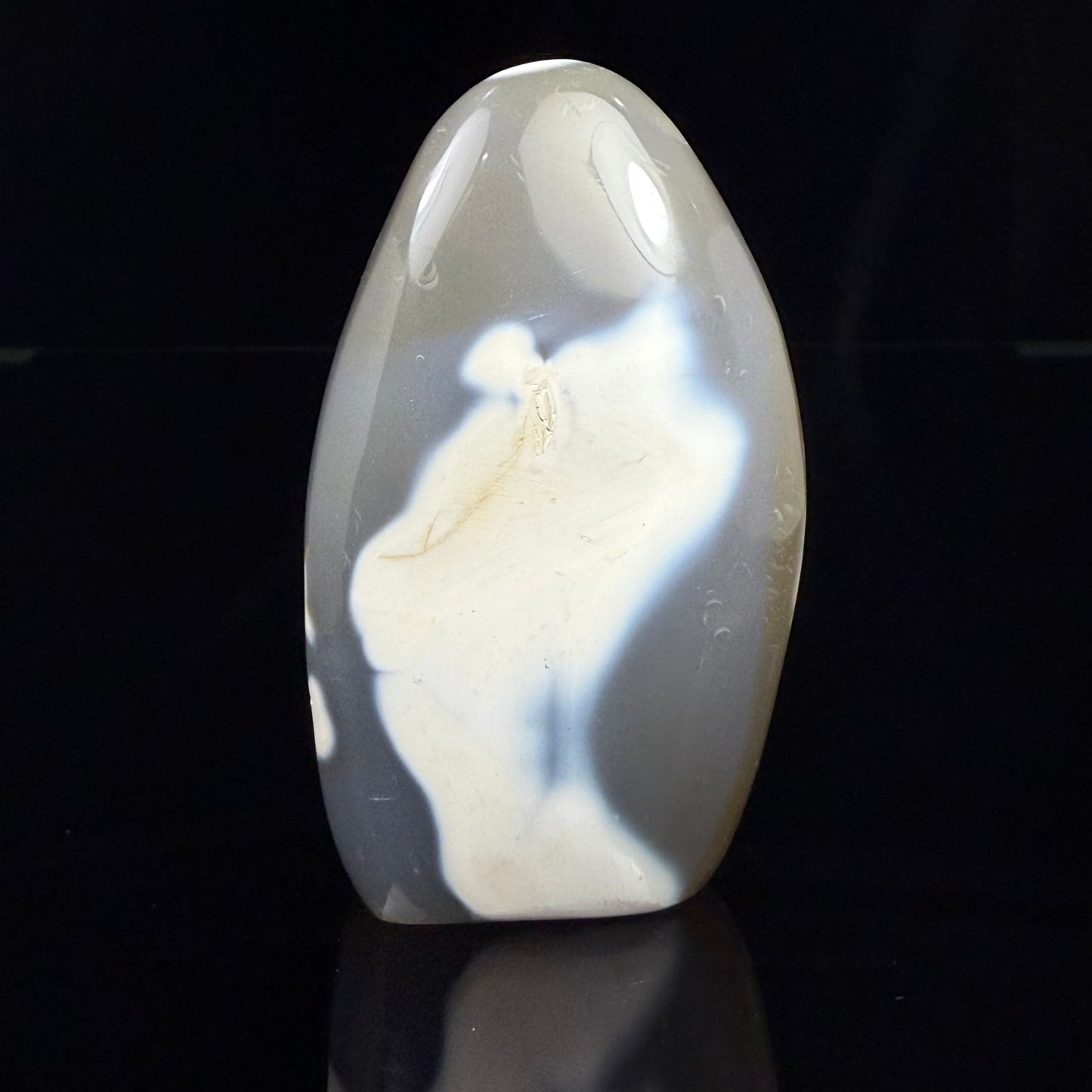 Orca Stone Freeform