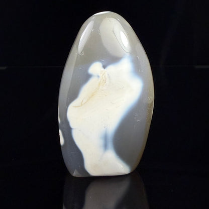 Orca Stone Freeform
