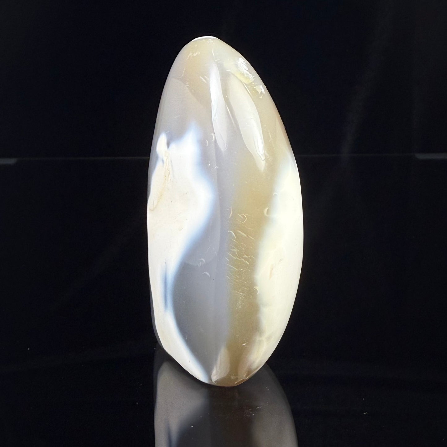 Orca Stone Freeform