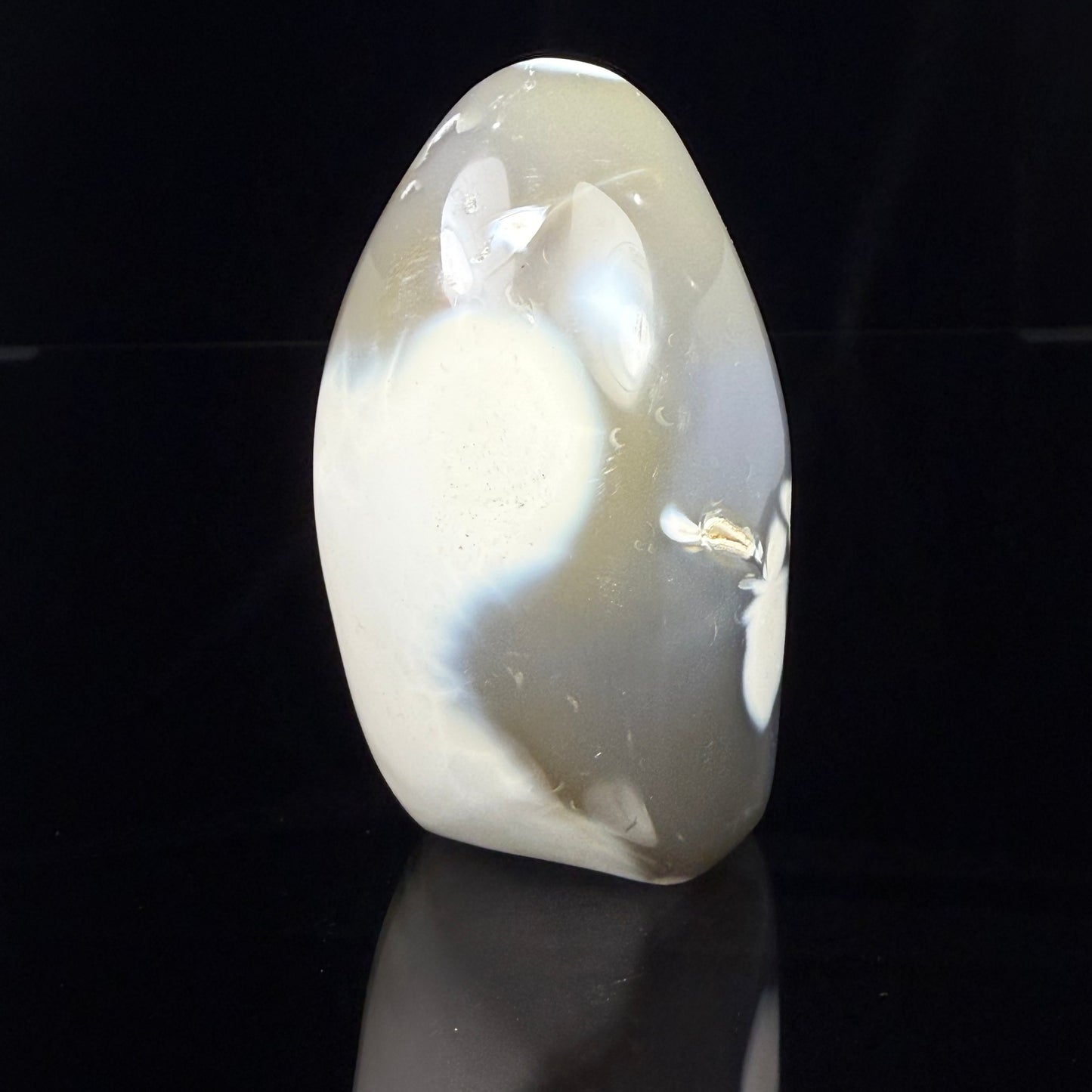 Orca Stone Freeform