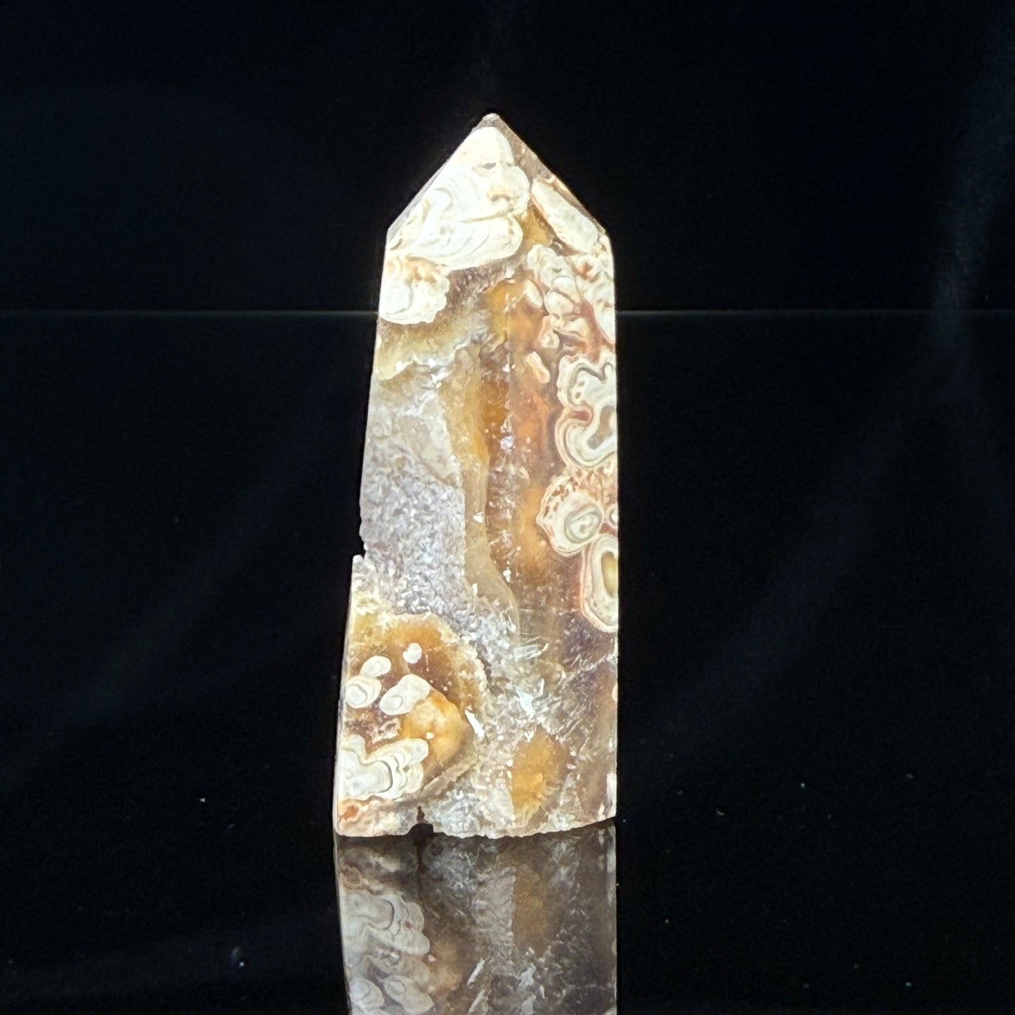 Stromatolite Point