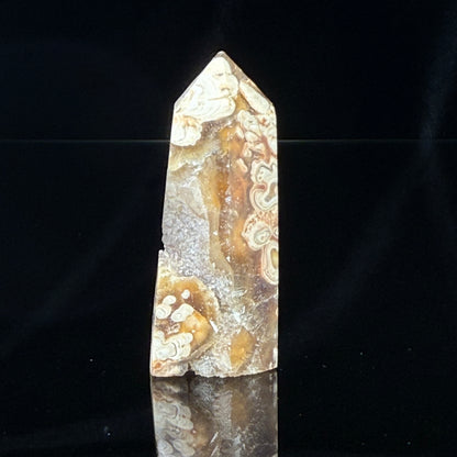 Stromatolite Point