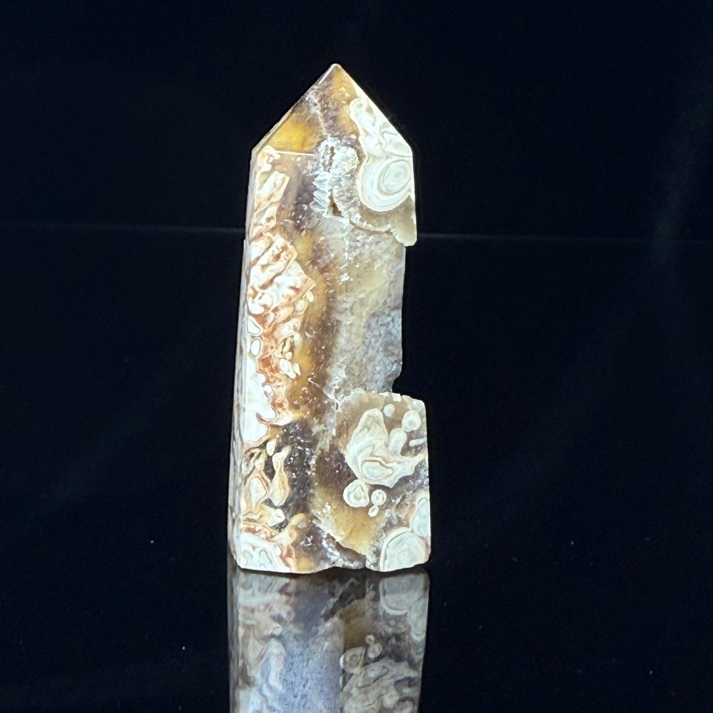 Stromatolite Point