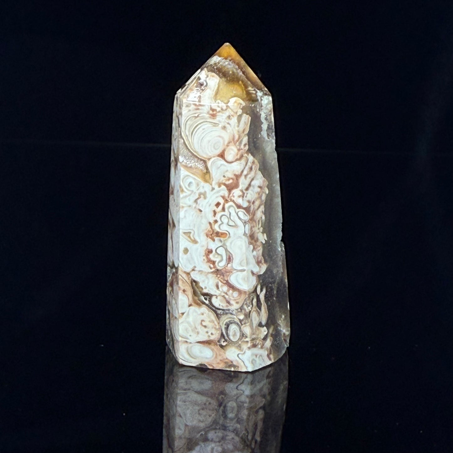 Stromatolite Point