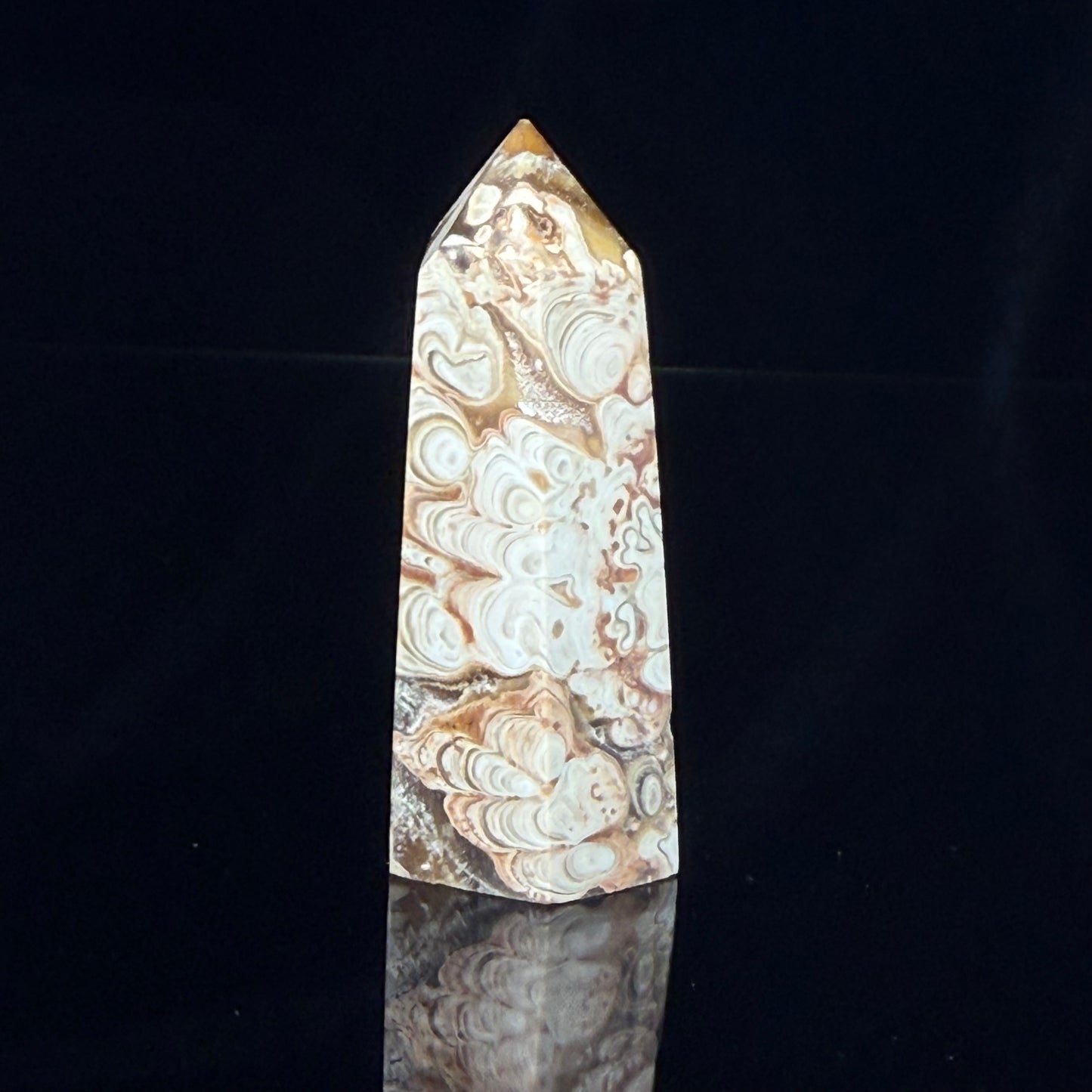 Stromatolite Point