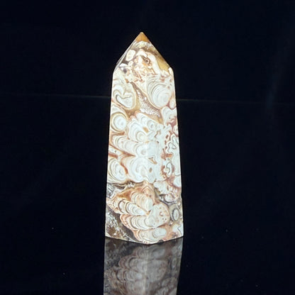Stromatolite Point