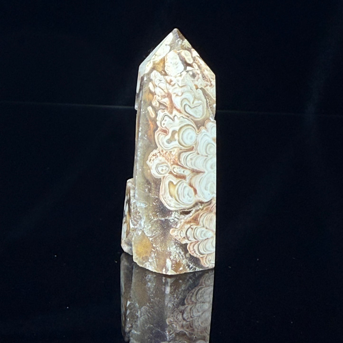 Stromatolite Point