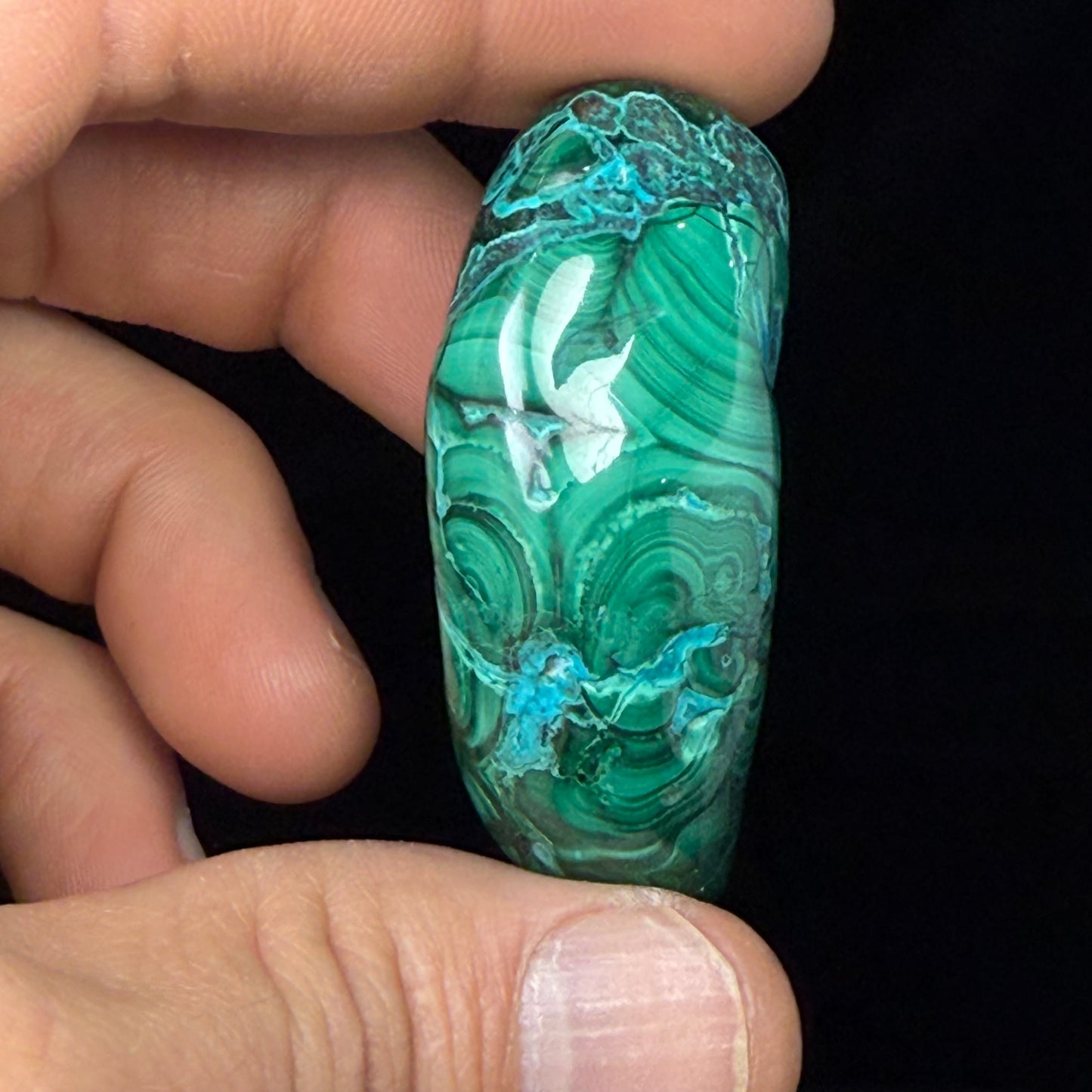 Malachite with Chrysocolla