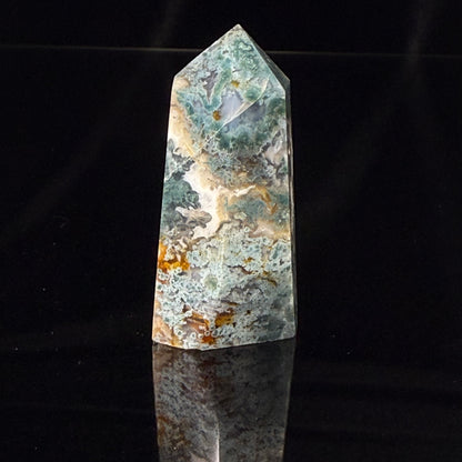 Moss Agate Point