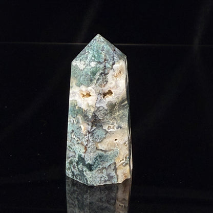 Moss Agate Point